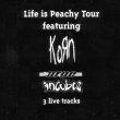 [ Life Is Peachy Tour Sampler Front Cover ]